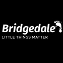 Bridgedale USA